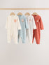 Multi Floral Baby Sleepsuits 4 Pack (0mths-3yrs)