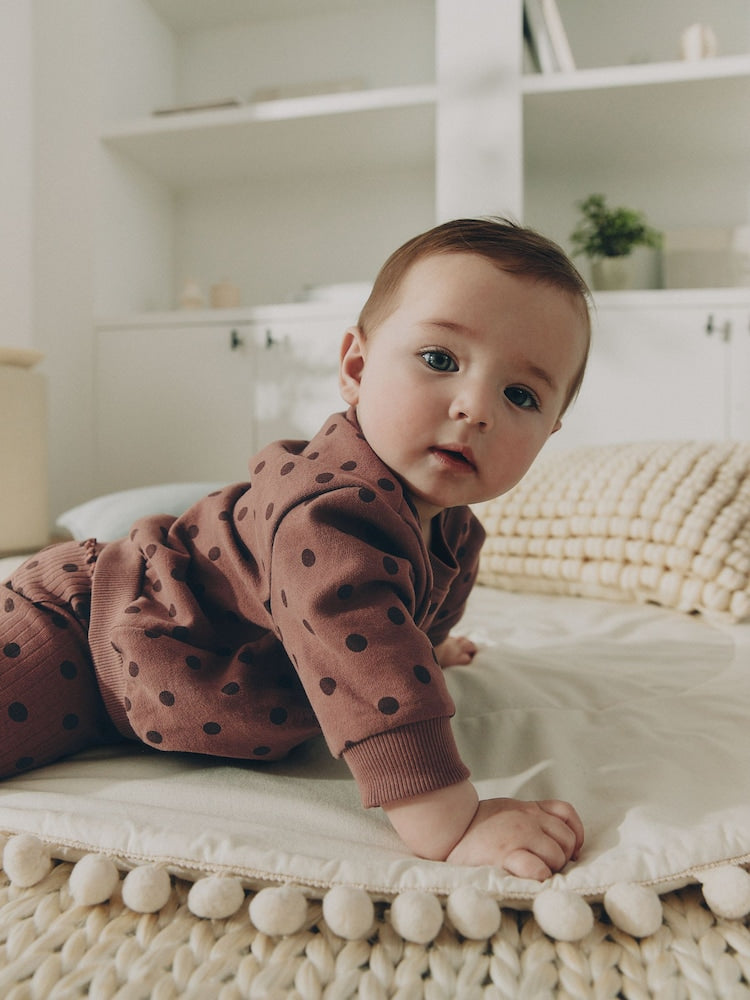 Chocolate Brown Spot Sweat Top and Leggings Set (0mths-2yrs)