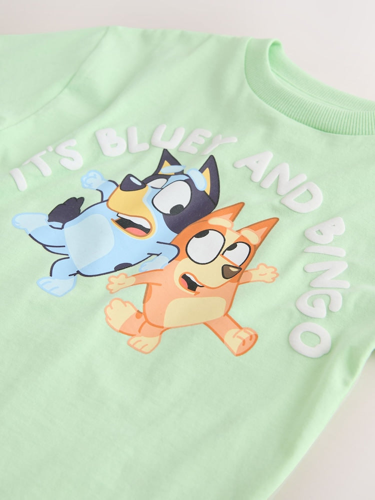 Mint Green Bluey Short Sleeve T-Shirt (12mths-7yrs)