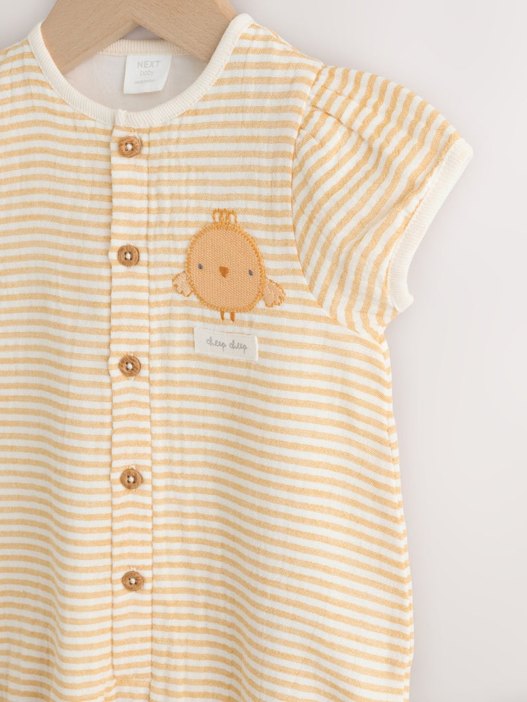 Yellow Little Chick