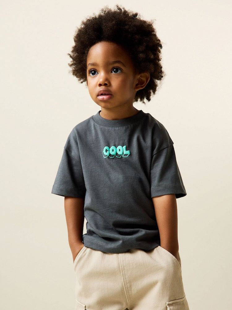Charcoal Grey Cool Slogan Short Sleeve Small Graphic T-Shirt (3mths-8yrs) - Charcoal Grey Cool Slogan / 12-18 Months (80-86cm)