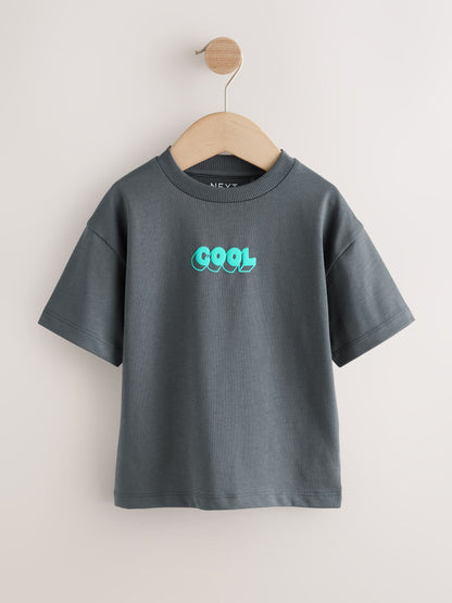 Charcoal Grey Cool Slogan Short Sleeve Small Graphic T-Shirt (3mths-8yrs) - Size 3-6 Months (62-68cm)