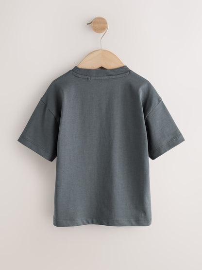 Charcoal Grey Cool Slogan Short Sleeve Small Graphic T-Shirt (3mths-8yrs)