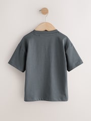 Charcoal Grey Cool Slogan Short Sleeve Small Graphic T-Shirt (3mths-8yrs) - Size 3-6 Months (62-68cm)
