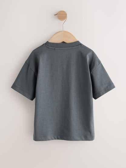 Charcoal Grey Cool Slogan Short Sleeve Small Graphic T-Shirt (3mths-8yrs) - Size 3-6 Months (62-68cm)