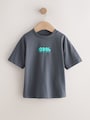 Green/Charcoal/Stone/Pink/Brown Small Short Sleeve Graphic T-Shirts 5 Pack (3mths-7yrs) - Size 3-6 Months (62-68cm)