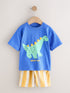 Blue Dinosaur Short Sleeve T-Shirt and Shorts Set (3mths-7yrs) - Blue Dinosaur / 12-18 Months (80-86cm)