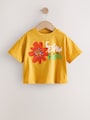 Orange/Purple T-Shirts 4 Pack (3mths-7yrs) - Size 3-6 Months (62-68cm)