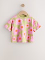 Orange/Purple T-Shirts 4 Pack (3mths-7yrs) - Size 3-6 Months (62-68cm)