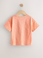 Bright T-Shirts 7 Pack (3mths-7yrs) - Size 3-6 Months (62-68cm)