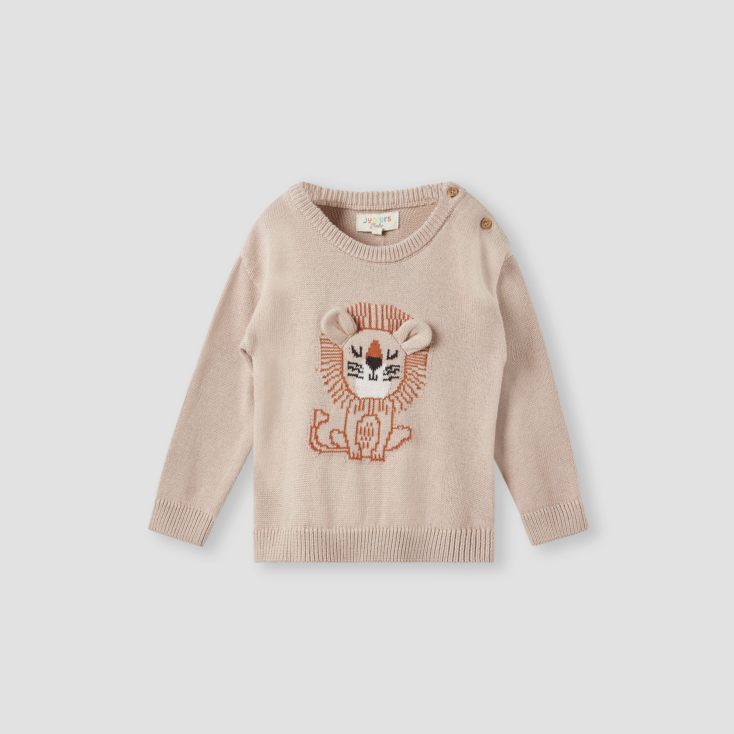 Juniors Lion Motif Sweater and Joggers Set