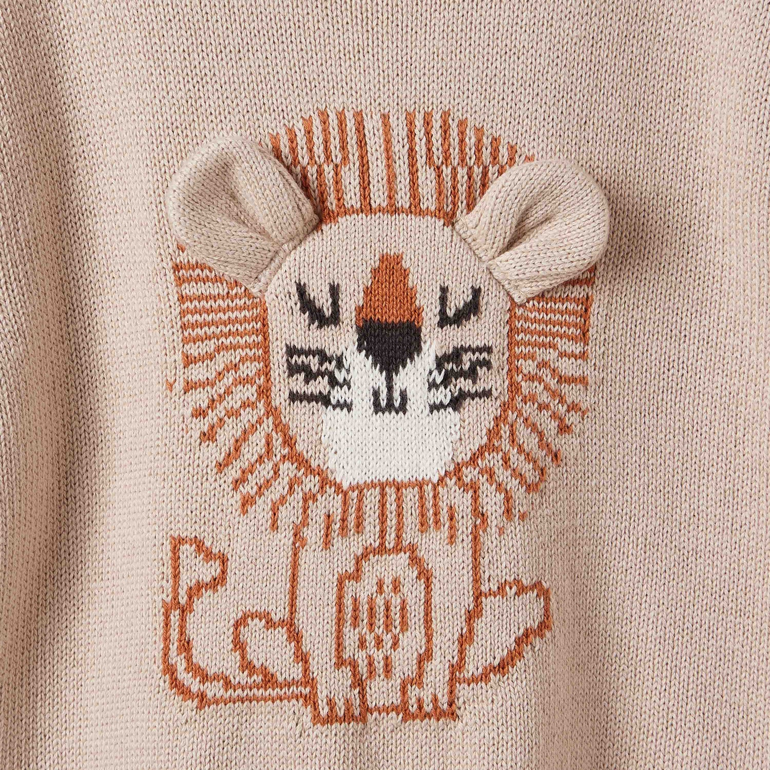 Juniors Lion Motif Sweater and Joggers Set