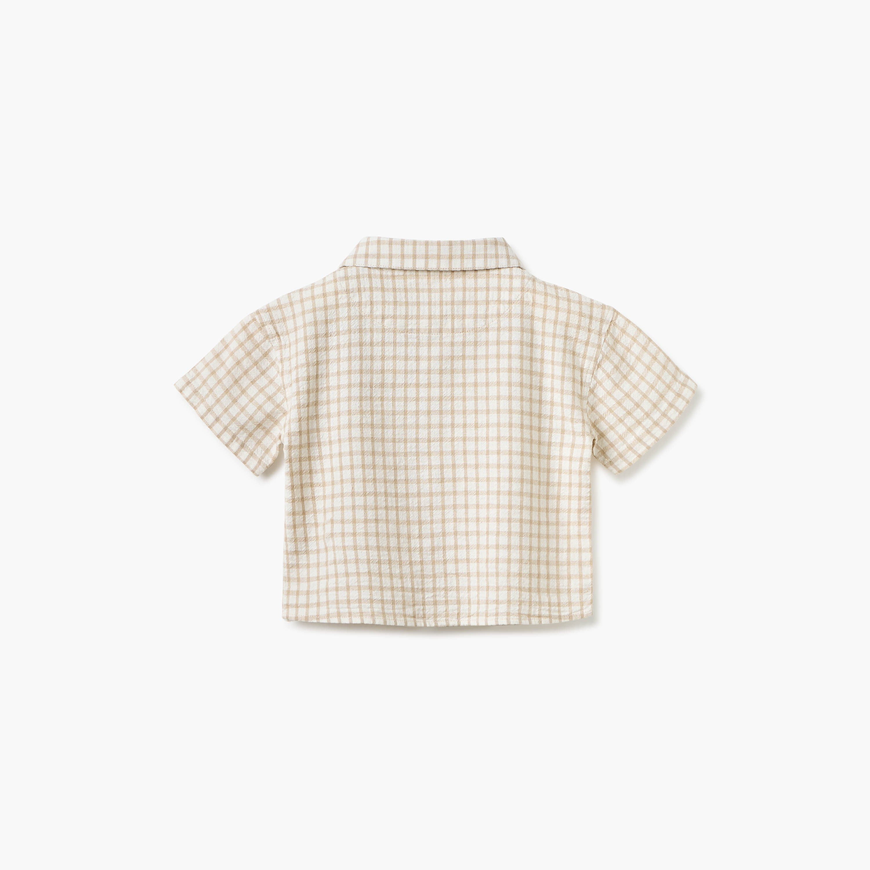 Giggles Checked Collared Shirt with Short Sleeves