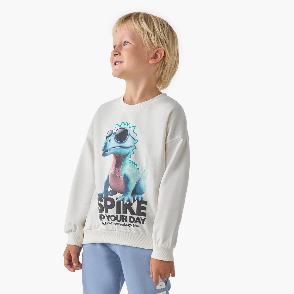 Juniors Dinosaur Print Sweatshirt with Long Sleeves