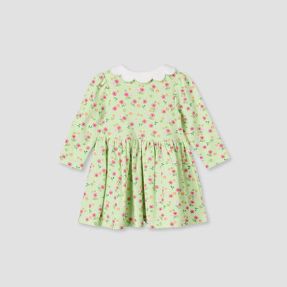 Juniors Collared Long Sleeves A-Line Dress with Floral Print
