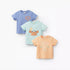 Pack of 3 Juniors Short Sleeve T-shirt with Print - Multicolour / 12-18 mths