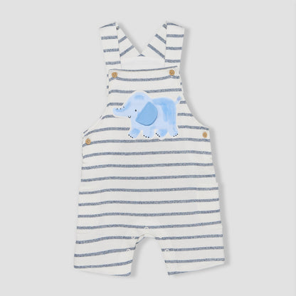 Juniors Crew Neck Short Sleeves T-shirt and Dungaree Set with Elephant Applique