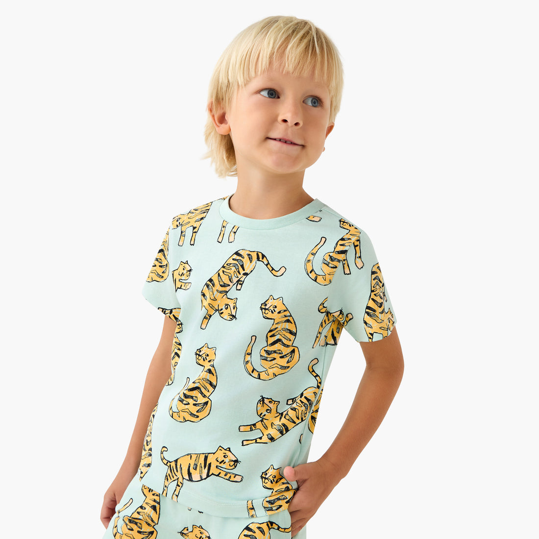 Juniors Crew Neck Short Sleeves T-shirt with Tiger Print - Blue / 1-2 yrs
