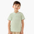 Juniors Collared Short Sleeves Polo T-shirt with Embroidery - Green / 1-2 yrs