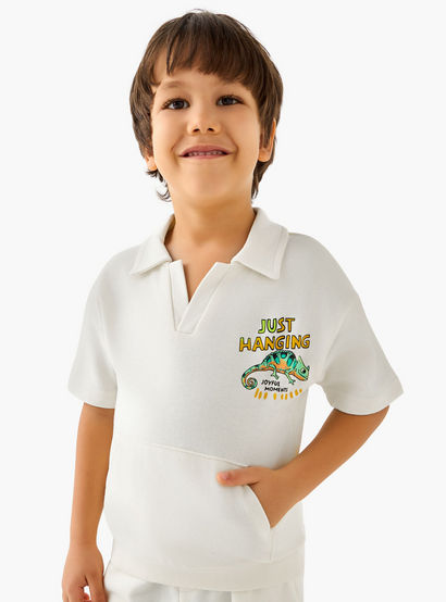 Juniors Collared Neck Short Sleeve Polo T-shirt and Shorts Set with Chameleon Print-boys-clothing-setsandcoords-image-2