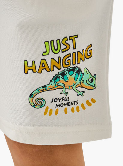Juniors Collared Neck Short Sleeve Polo T-shirt and Shorts Set with Chameleon Print-boys-clothing-setsandcoords-image-6