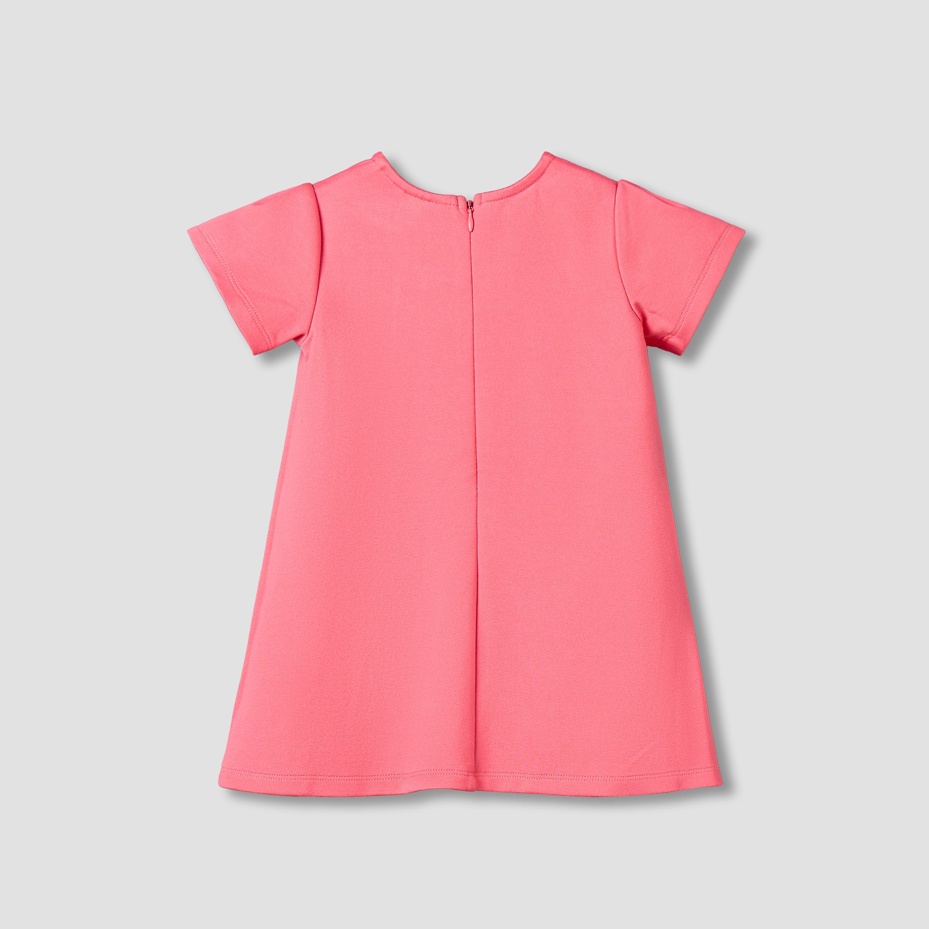 Juniors Round Neck Short Sleeves A-Line Dress with Zip Closure