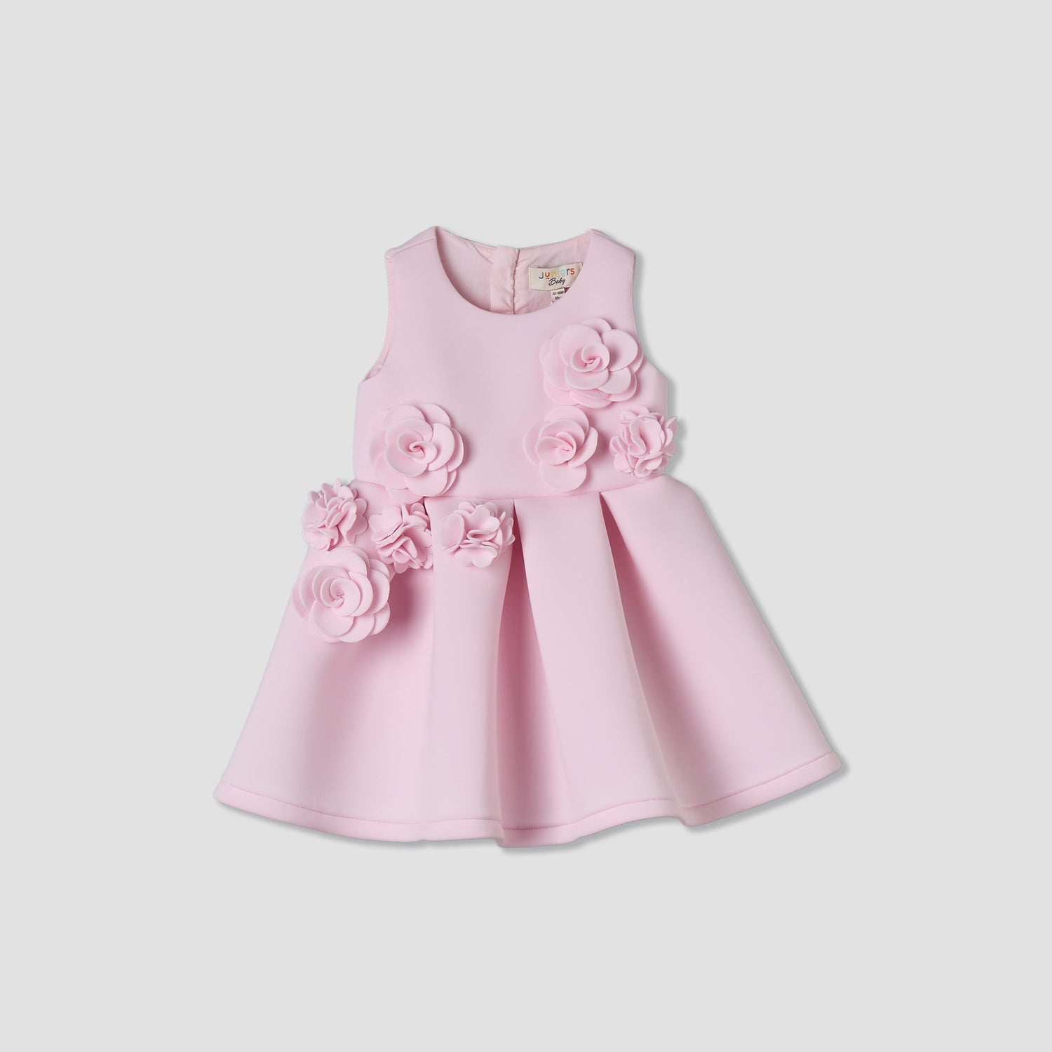 Juniors Round Neck Sleeveless Skater Dress with Floral Applique