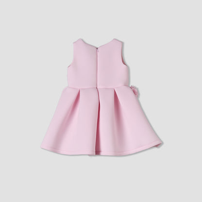 Juniors Round Neck Sleeveless Skater Dress with Floral Applique