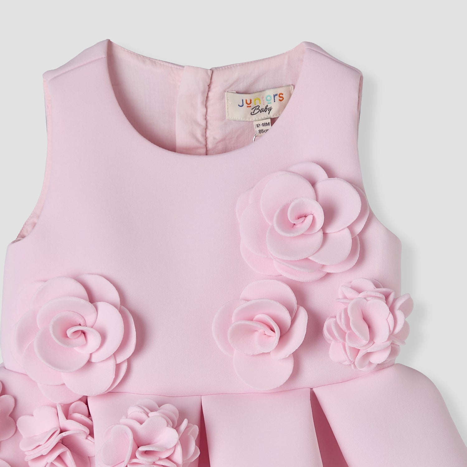Juniors Round Neck Sleeveless Skater Dress with Floral Applique