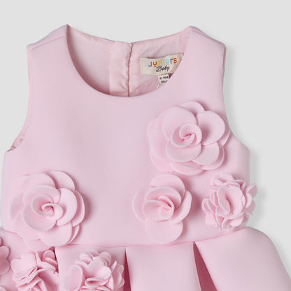 Juniors Round Neck Sleeveless Skater Dress with Floral Applique