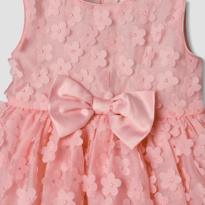 Juniors Round Neck Sleeveless Dress with Floral Applique Design
