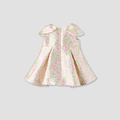Juniors Round Neck Sleeveless A-line Dress with Floral Print