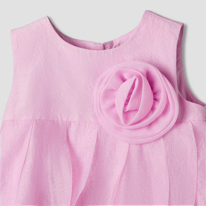 Juniors Round Neck Sleeveless Dress with Ruffles