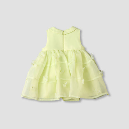 Juniors Round Neck Sleeveless A-line Dress with Butterfly Applique Detail