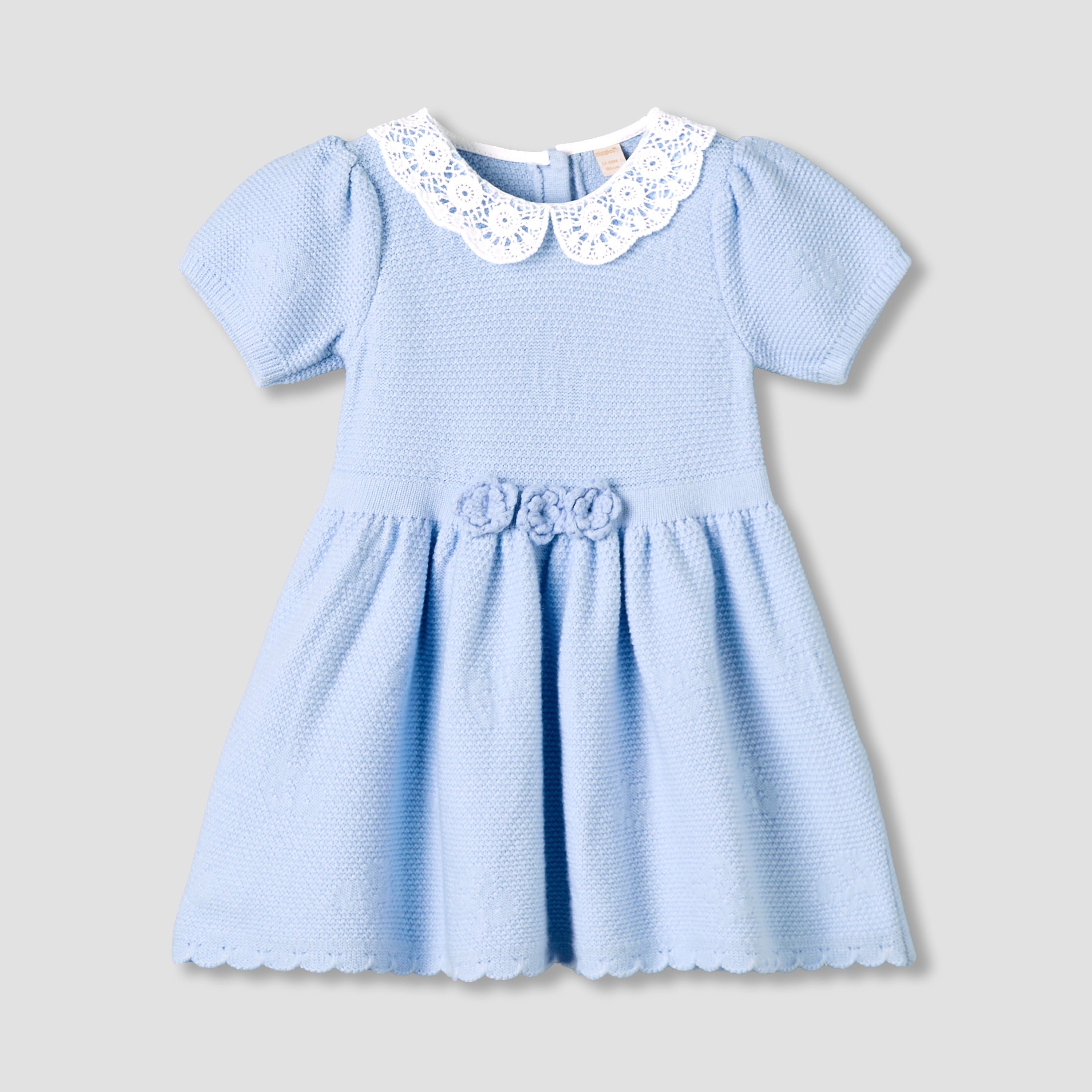 Giggles Peter Pan Collar Short Sleeve A-line Dress with Floral Applique