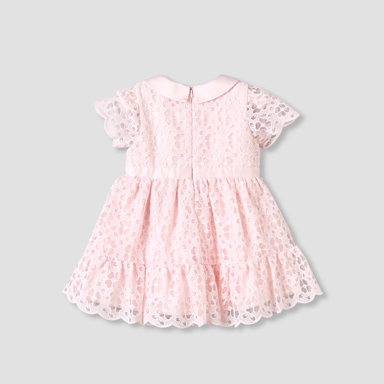 Giggles Peter Pan Collar Short Sleeves A-line Dress with Lace and Bow Design
