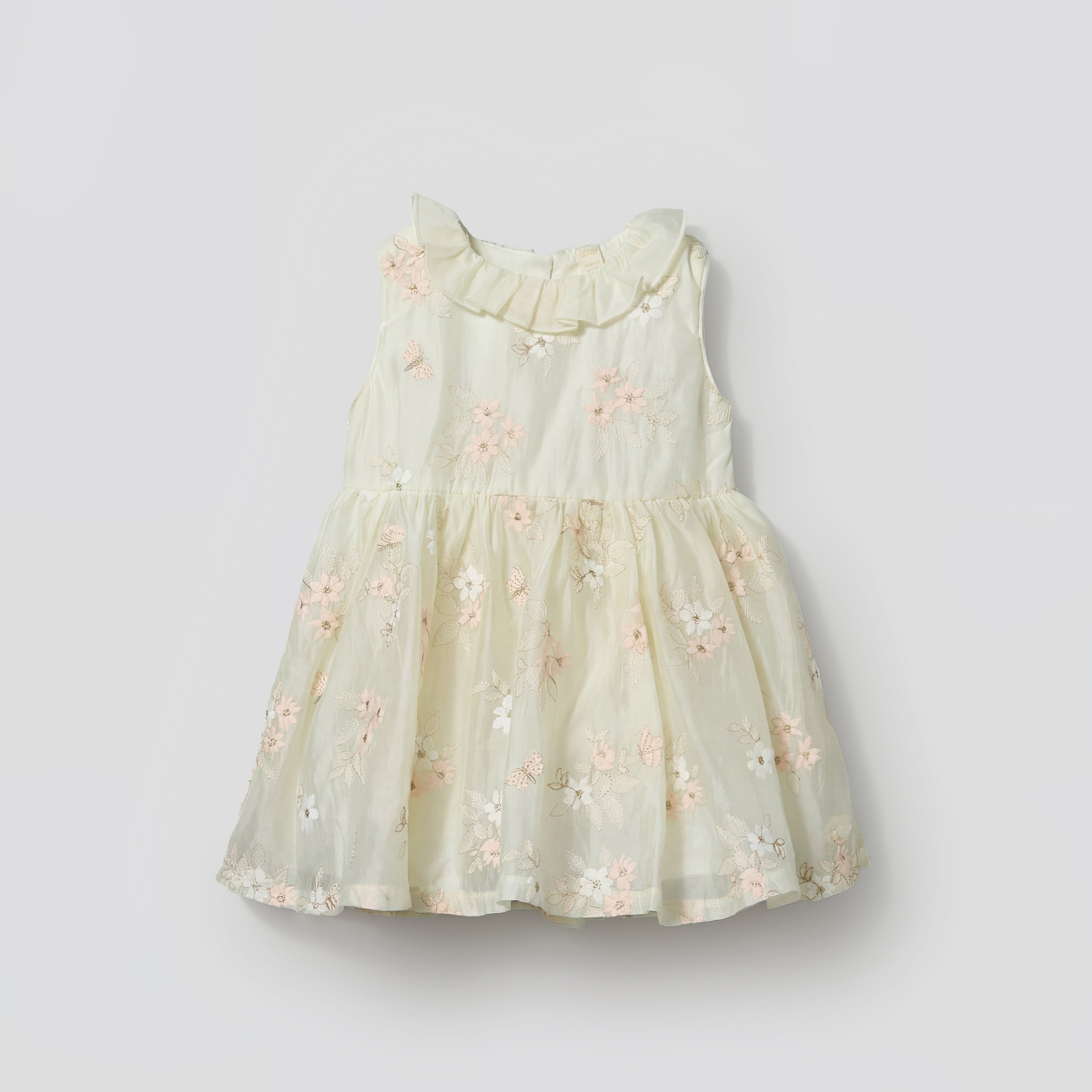 Giggles Round Neck Sleeveless Skater Dress with Floral Embroidery
