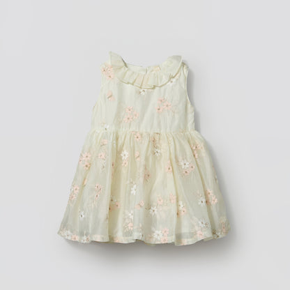 Giggles Round Neck Sleeveless Skater Dress with Floral Embroidery