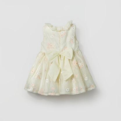Giggles Round Neck Sleeveless Skater Dress with Floral Embroidery