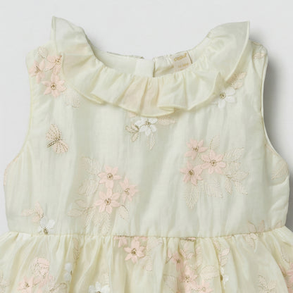 Giggles Round Neck Sleeveless Skater Dress with Floral Embroidery