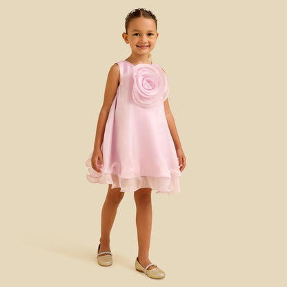 Juniors Round Neck Sleeveless Dress with Floral Applique