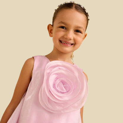 Juniors Round Neck Sleeveless Dress with Floral Applique