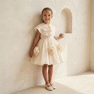 Juniors Round Neck Sleeveless Dress with Cape-undefined-image-1