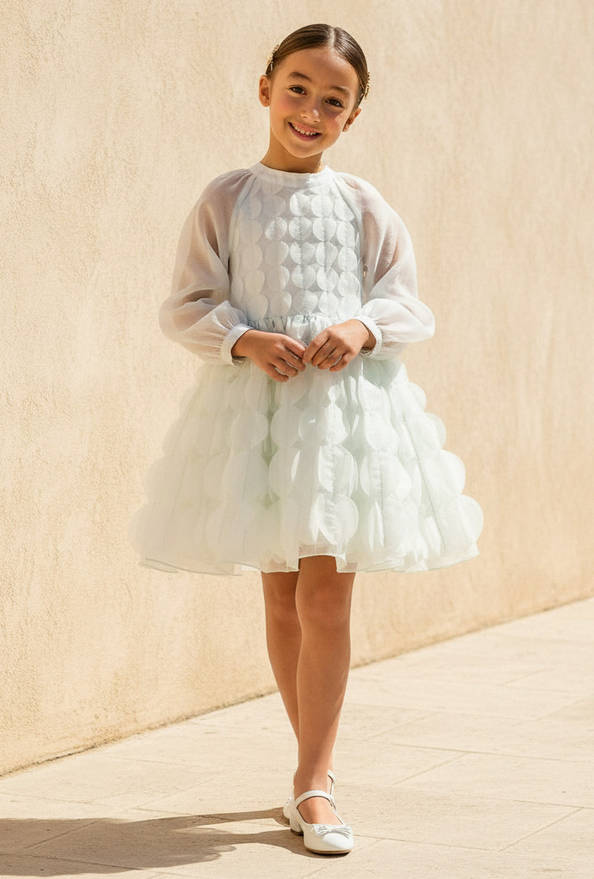 Eligo Mandarin Neck Long Sleeves Dress with Circle Applique