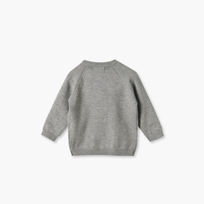 Juniors Crew Neck Long Sleeves Sweater and Pants Set with Fox Accent