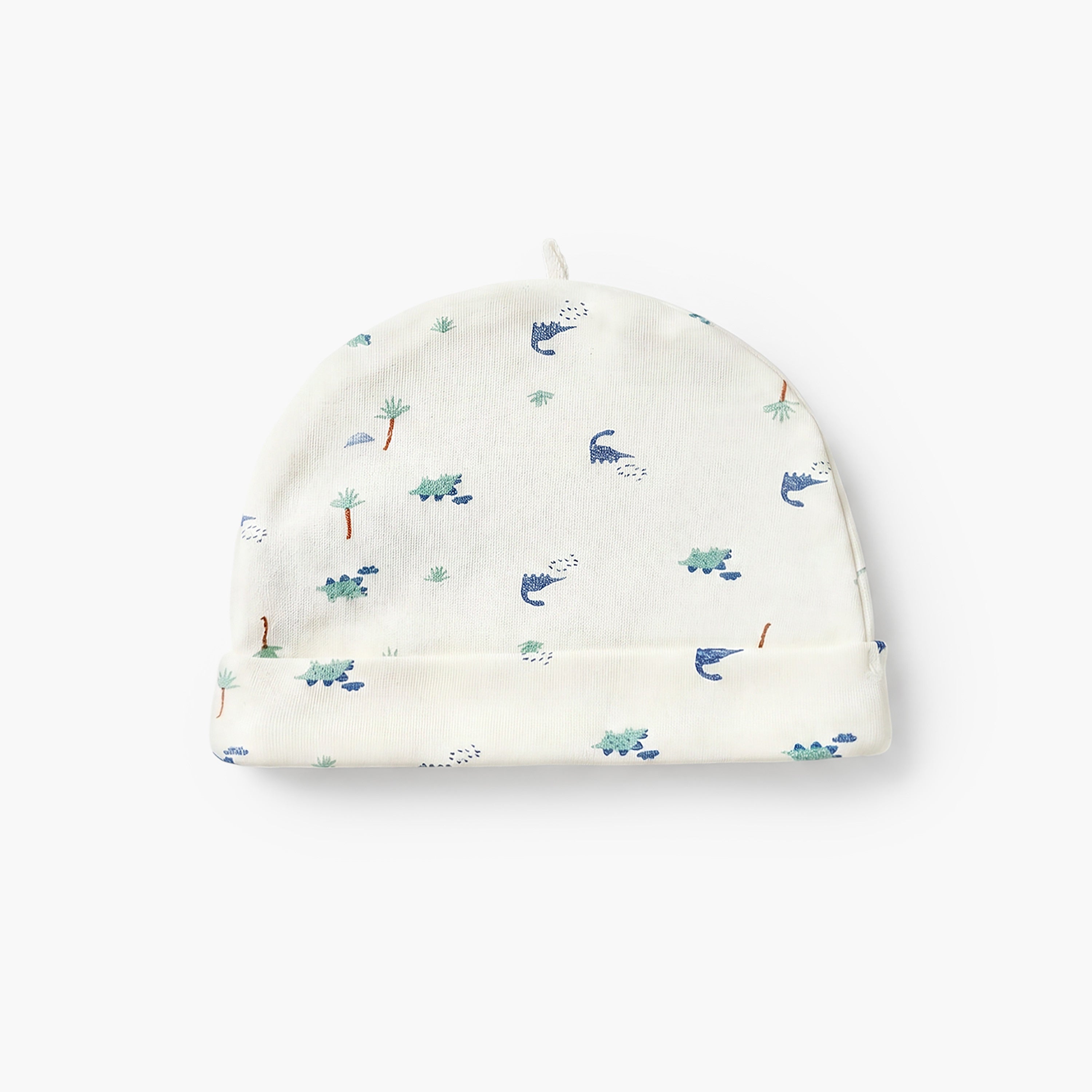 Set of 6 Juniors Clothing Gift Set with Dinosaur Print