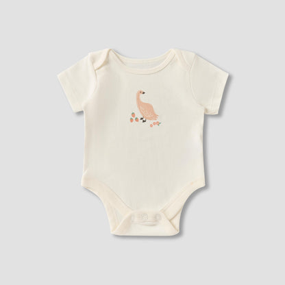 Set of 8 Juniors Clothing Gift Set with Assorted Prints