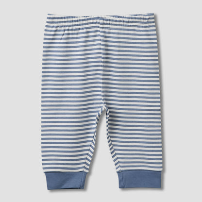 Pack of 3 Juniors Cotton Round Neck Long Sleeves Pyjama Set with Teddy Print