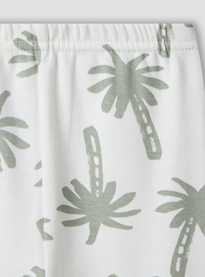 Juniors Cotton Round Neck Long Sleeves Pyjama Set with Palm Tree Print-baby-boys-clothing-nightwear-pyjamasets-image-7