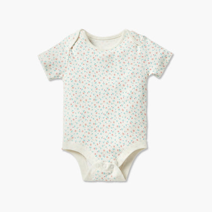Juniors Assorted Bodysuit with Short Sleeves and Button Closure - Set of 3